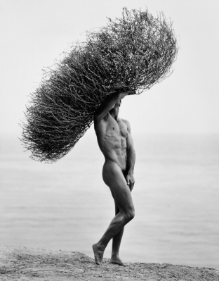 Male Nude with Tumbleweed by Herb Ritts, 1986